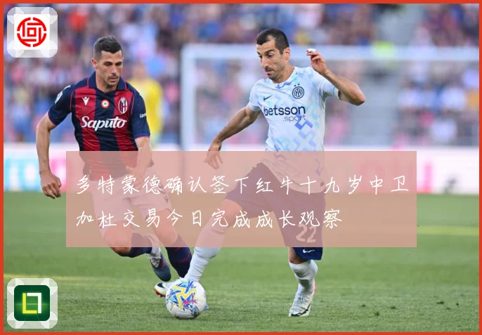 多特蒙德确认签下红牛十九岁中卫加杜交易今日完成成长观察